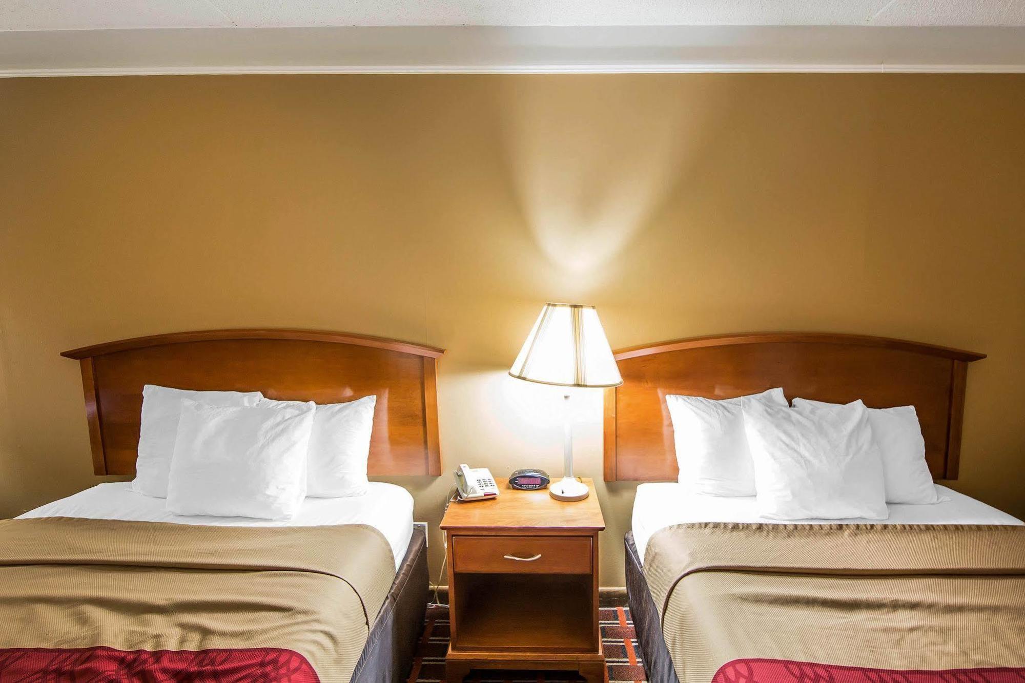 Econo Lodge North Knoxville Dış mekan fotoğraf